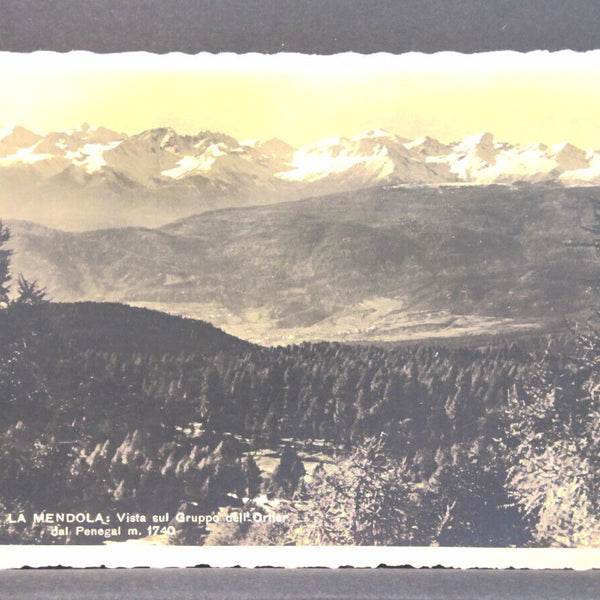 La Mendola Vista sui Gruppo del Ortler dal Penegal JW 650444 C