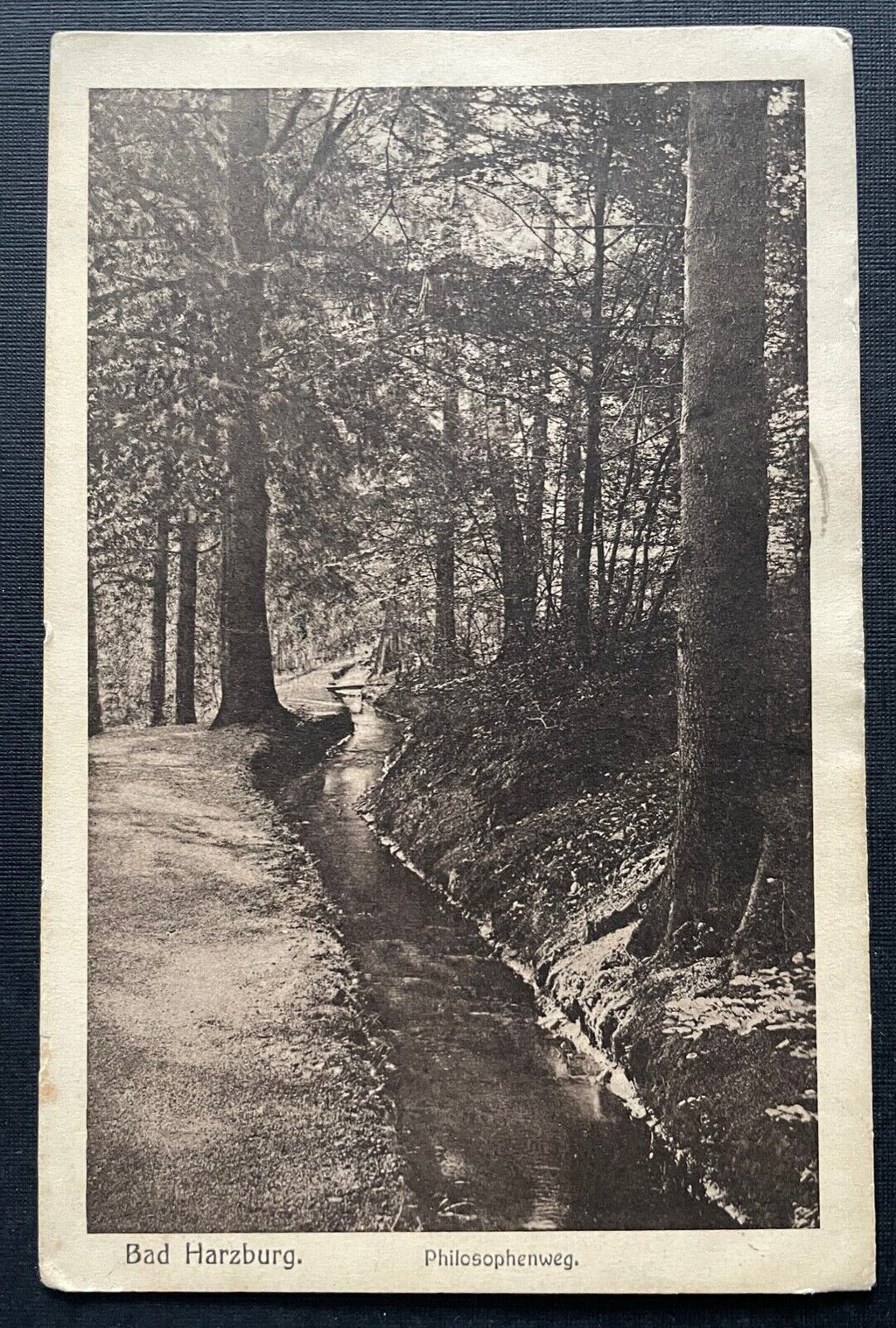 Bad Harzburg Philosophenweg Wald Bach Wandern Niedersachsen Deutschland 400985 A