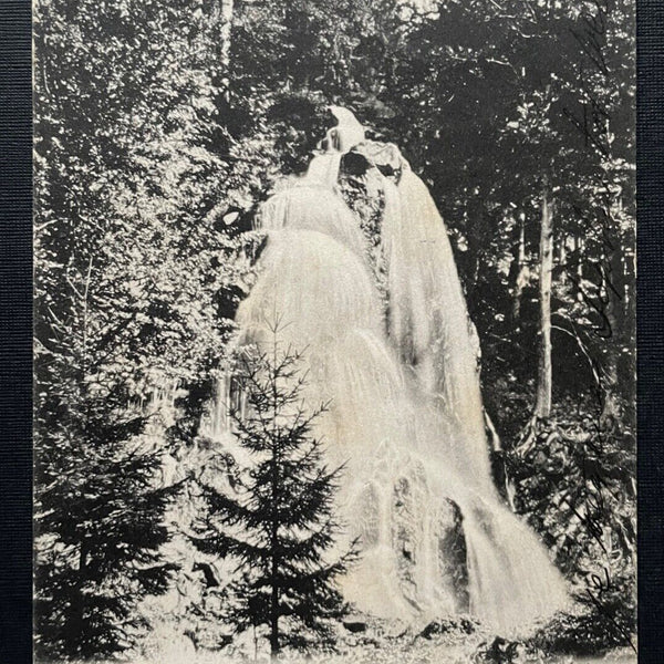 Radau Wasserfall bei Harzburg Bad Wald Niedersachsen Deutschland 400984 TH