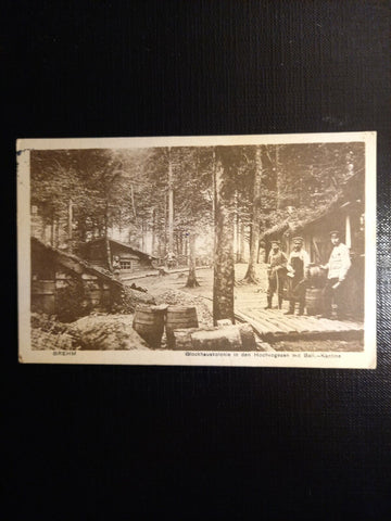 Brehm Blockhauskolonie 410560 gr C