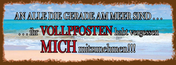 Schild An Alle Die Gerade Am Meer Sind Vollpfosten Vergessen Mich Mitnehmen