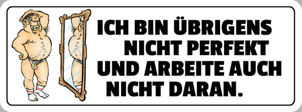 Schild Ich Bin Übrigens Nicht Perfekt & Arbeite Auch Nicht Daran Körper 27 x 10