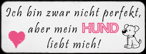 Schild Ich Bin Zwar Nicht Perfekt Aber Mein Hund Liebt Mich  27x10 Blech od.Holz