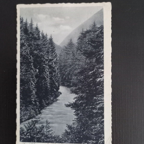 Thür.Wald.im Schwarzatal 160040 GR