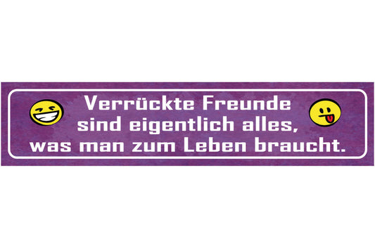 Schild Verrückte Freunde Alles Was Man Zum Leben Braucht 46 x 10 Blech od. Holz