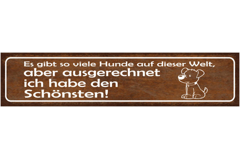 Schild Es Gibt Viele Hunde Auf Dieser Welt Aber Ich Habe den Schönsten 46 x 10
