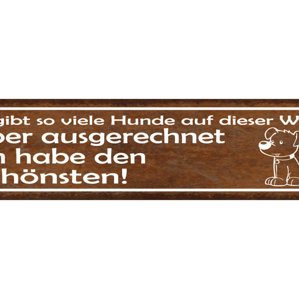 Schild Es Gibt Viele Hunde Auf Dieser Welt Aber Ich Habe den Schönsten 46 x 10