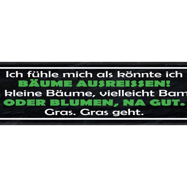 Schild Ich Fühle Mich Als Könnte Ich Bäume Ausreissen Oder Blumen Gras Geht