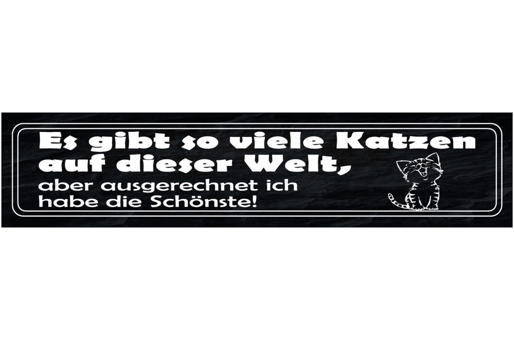 Schild Es Gibt So Viele Katzen Auf Dieser Welt Aber Ich Habe Die Schönste 46x10