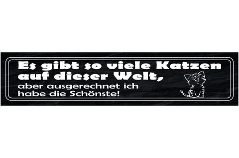 Schild Es Gibt So Viele Katzen Auf Dieser Welt Aber Ich Habe Die Schönste 46x10