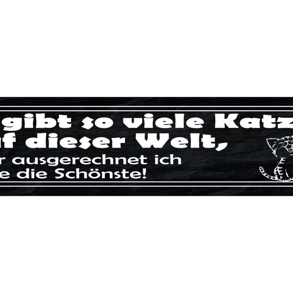 Schild Es Gibt So Viele Katzen Auf Dieser Welt Aber Ich Habe Die Schönste 46x10