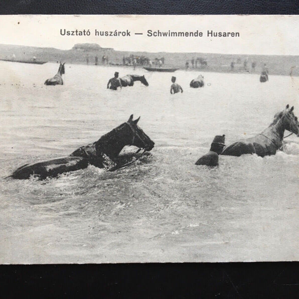 Schwimmende Husaren - Soldaten Pferd - Usztato huszarok 270020 TH