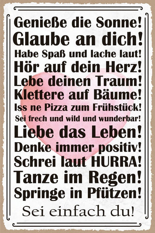 Schild Sei einfach Du Leben Traum Herz Sonne 12x18 / 20x30 / 30x40 Blech od.Holz