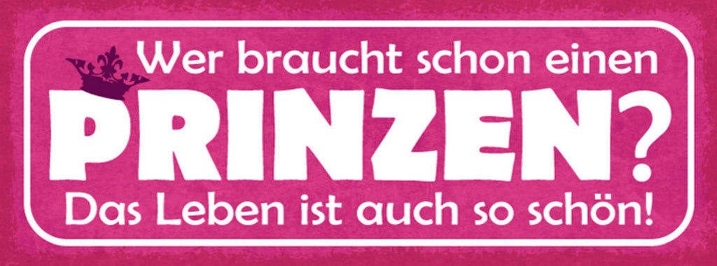 Schild Wer Braucht Schon Einen Prinzen Das Leben Ist Auch So Schön Liebe 27x10