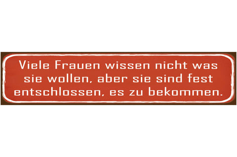 Schild Frauen Wissen Entschlossenheit Beziehung Frau Mann 46 x 10 Blech od. Holz
