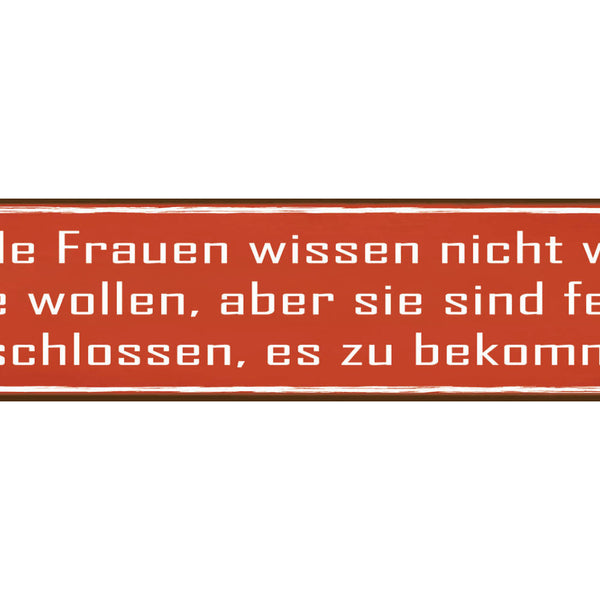 Schild Frauen Wissen Entschlossenheit Beziehung Frau Mann 46 x 10 Blech od. Holz