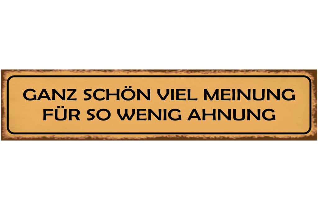 Schild Meinung Wenig Ahnung Wissen Verständnis Ansicht 46 x 10 Blech od. Holz