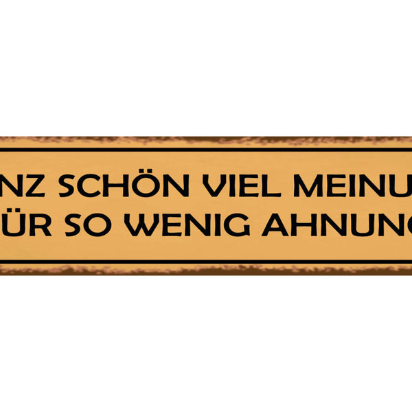 Schild Meinung Wenig Ahnung Wissen Verständnis Ansicht 46 x 10 Blech od. Holz