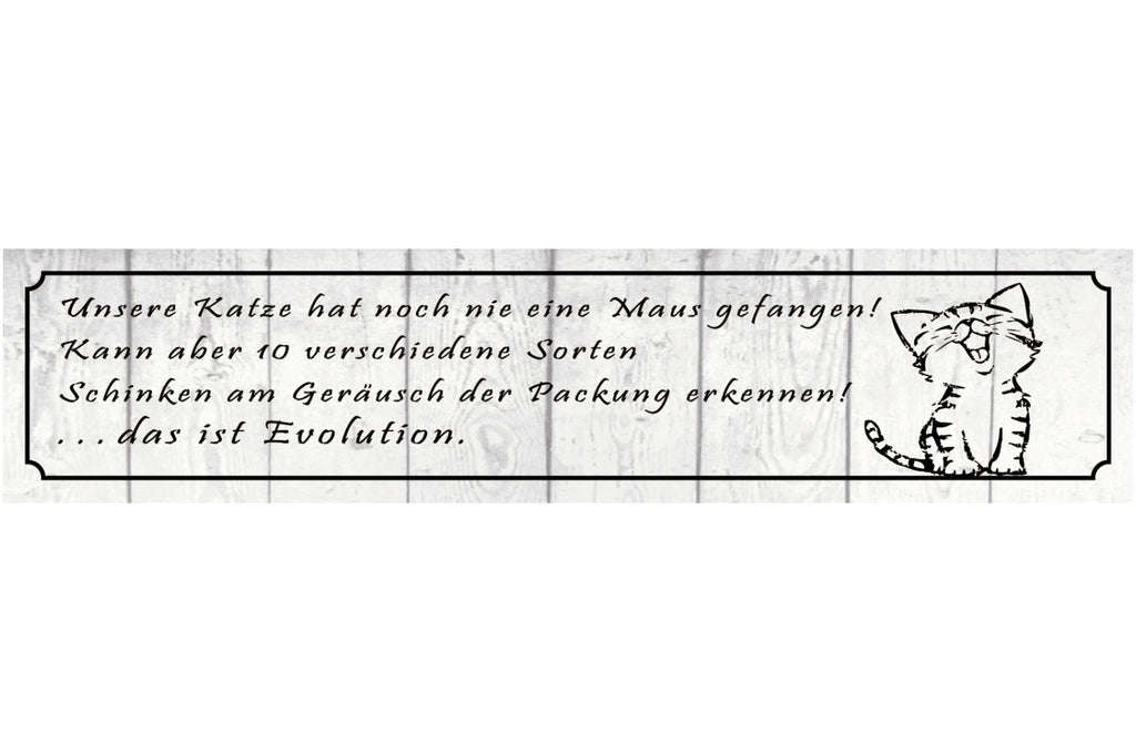 Schild Katze Maus Fangen Haus Tier Liebe Evolution Katzen 46 x 10 Blech od. Holz