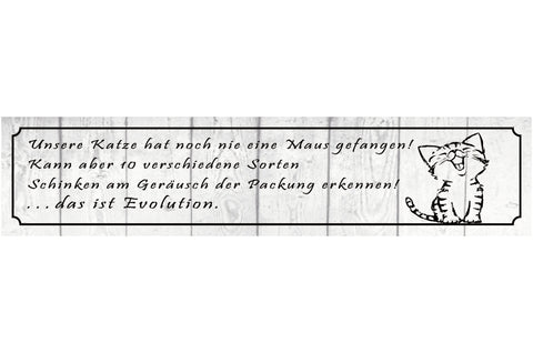 Schild Katze Maus Fangen Haus Tier Liebe Evolution Katzen 46 x 10 Blech od. Holz