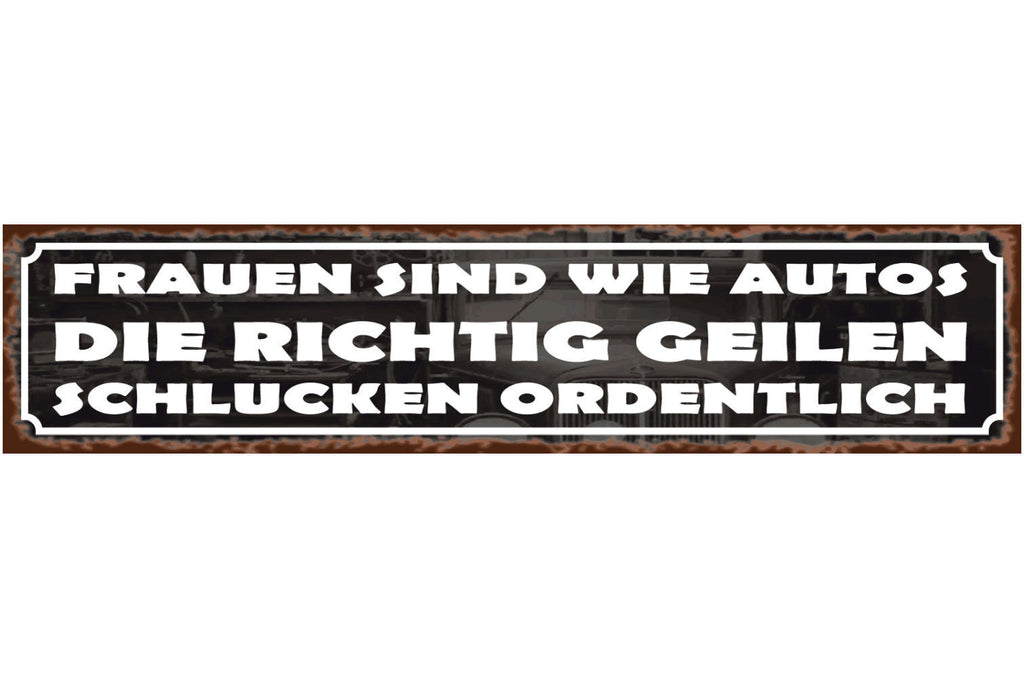 Schild Frauen Wie Autos Sexistisch Vergleich Mann Benzin 46 x 10 Blech od. Holz