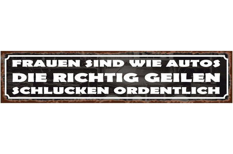 Schild Frauen Wie Autos Sexistisch Vergleich Mann Benzin 46 x 10 Blech od. Holz