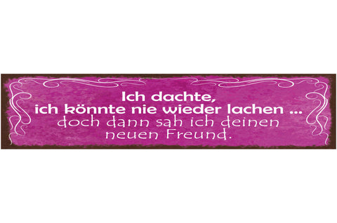 Schild Ich Dachte Ich Könnte Nie Wieder Lachen Doch Dann Sah Ich Deinen Freund
