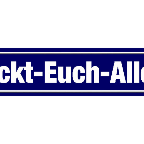 Schild Fickt Euch Allee Schimpfen Fluchen Ort Straße Platz 46 x 10 Blech od.Holz