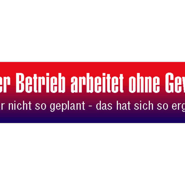 Schild Betrieb Ohne Gewinn Firma Arbeit Selbstständig  46 x 10 Blech od. Holz
