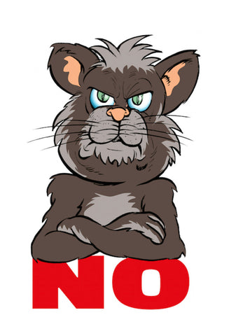 Schild Spruch No Nein Katze JW