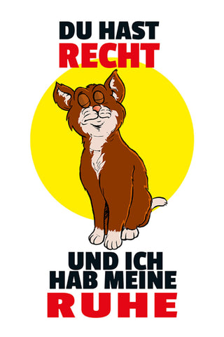 Schild Spruch Du hast recht und ich habe meine Ruhe Katze JW