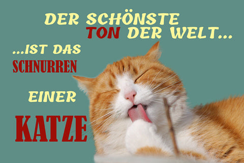 Schild Spruch Der schönste Ton der Welt ist das Schnurren einer Katze JW