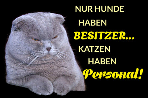 Schild Spruch Nur Hunde haben Besitzer Katzen haben Personal JW