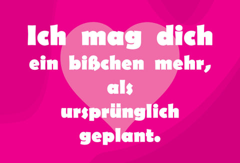 Schild Spruch Ich mag dich ein bißchen mehr als ursprünglich geplant Liebe JW