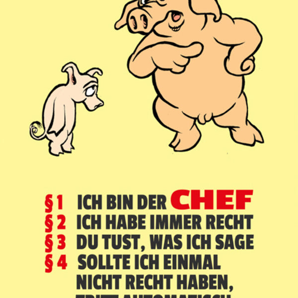 Schild Spruch Regeln §1Ich bin der CHEF §2 Ich habe immer recht §3 Du tust JW
