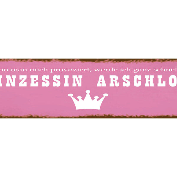 Schild Prinzessin Arschloch Provozieren Wütend Charakter 46 x 10 Blech od. Holz