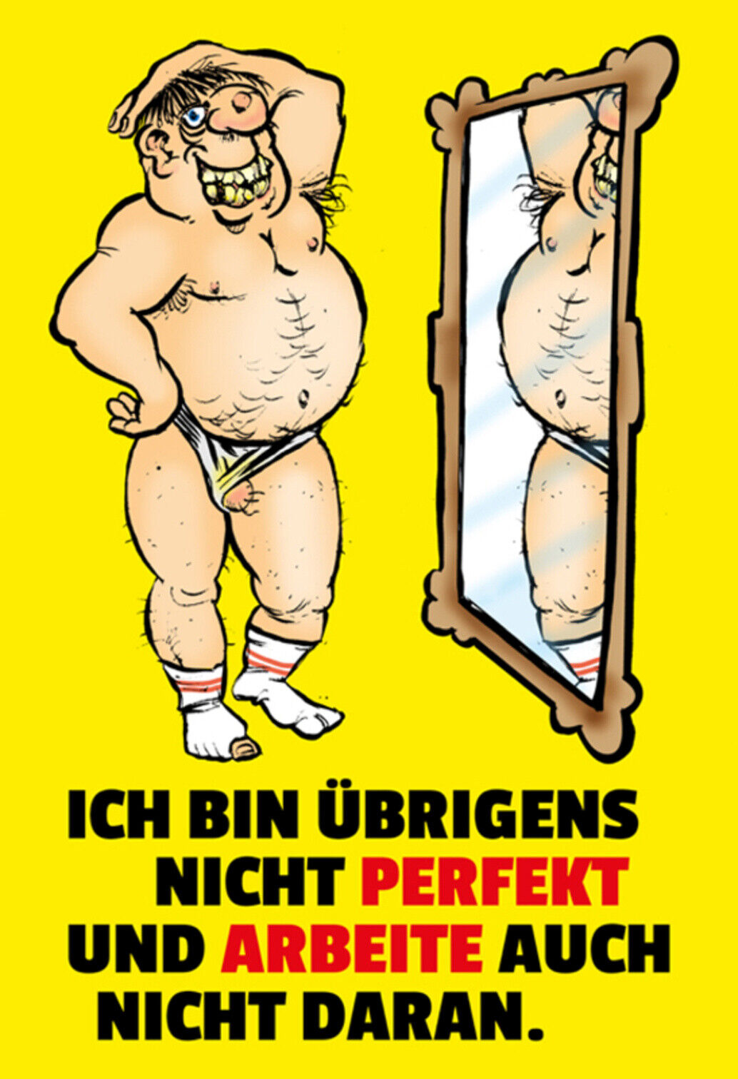 Schild Spruch Ich bin übrigens nicht perfekt und arbeite nicht daran Männer JW