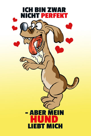 Schild Spruch Ich bin zwar nicht perfekt Aber mein Hund liebt mich JW