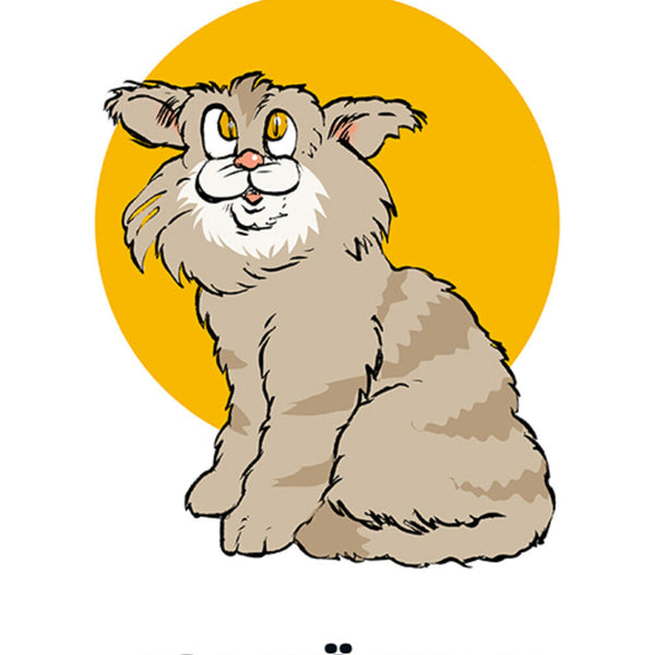 Schild Spruch Ich bin so süß Ich könnte Zucker pupsen Katze JW