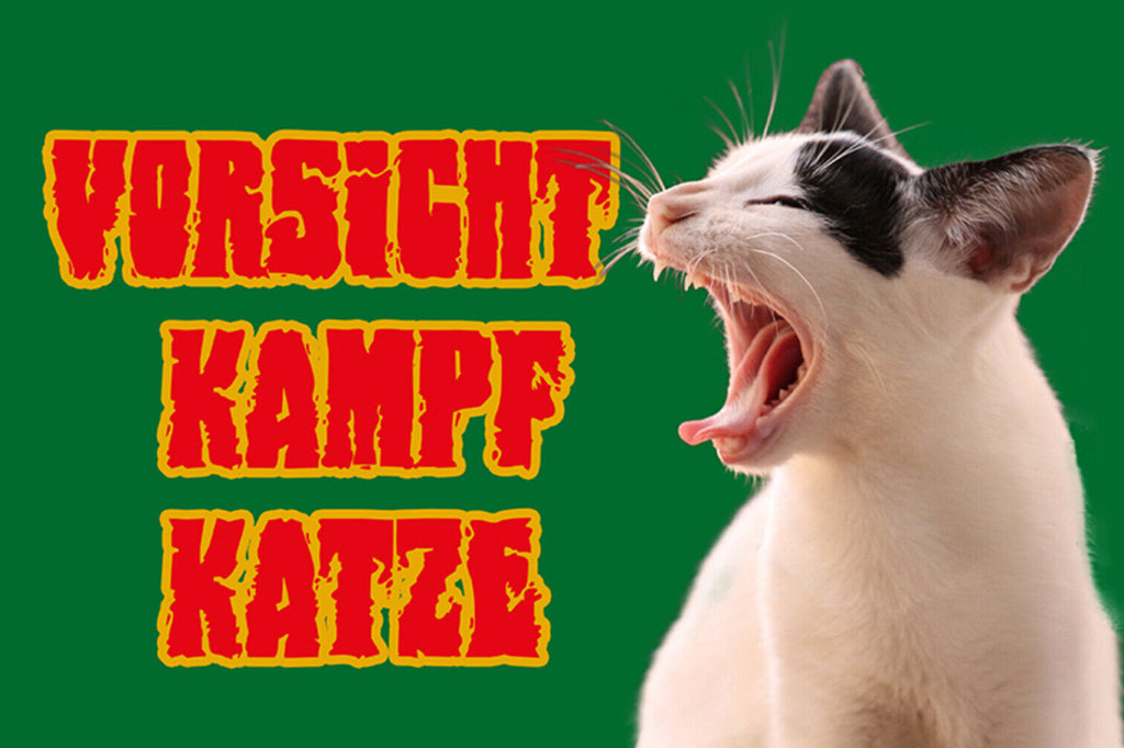 Schild Spruch Vorsicht Kampf-Katze Warnung Gefahr JW