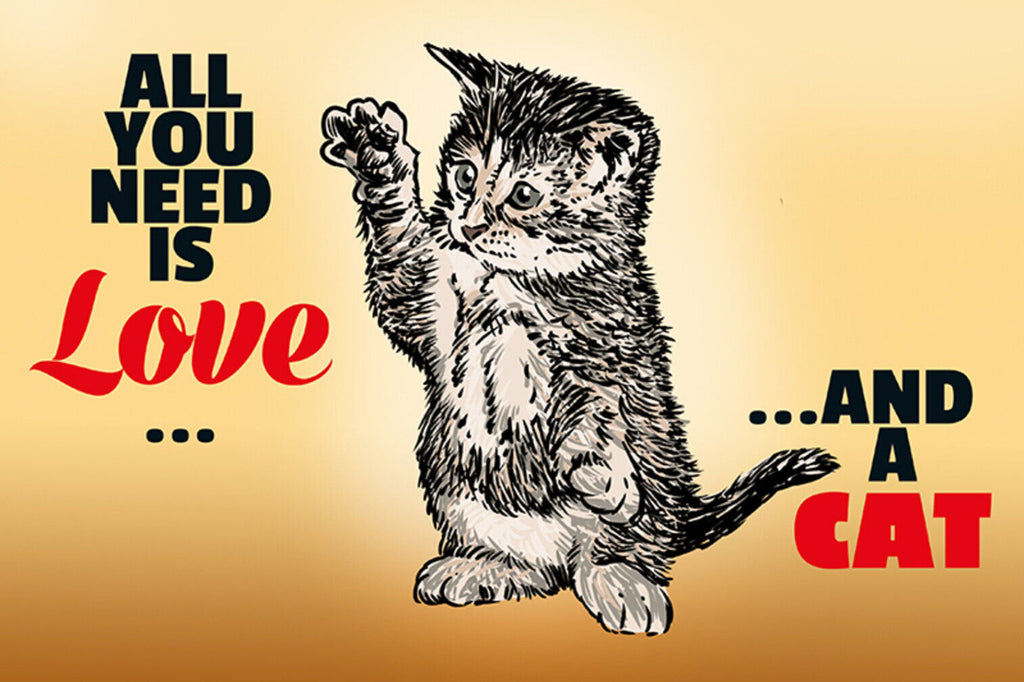 Schild Spruch All you need is Love and a Cat Alles was du brauchst Liebe KatzeJW