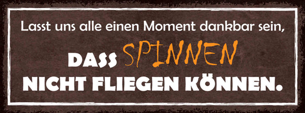 Schild Lasst Uns Alle Dafür Dankbar Sein Dass Spinnen Nicht Fliegen Können 27x10