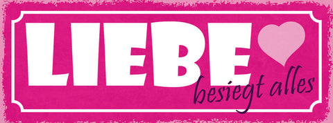 Schild Liebe Besiegt Alles Ehe Paar Beziehung Familie 27x10 Blech od.Holz