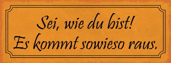 Schild Sei Wie Du Bist Es Kommt Sowieso Raus Charakter 27x10 Blech od.Holz
