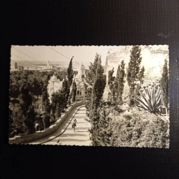 Malaga 400394 gr
