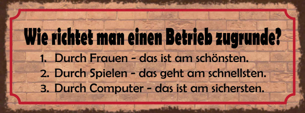 Schild Wie Richtet Man Einen Betrieb Zugrunde Frauen Spielen Computer 27x10