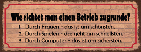 Schild Wie Richtet Man Einen Betrieb Zugrunde Frauen Spielen Computer 27x10