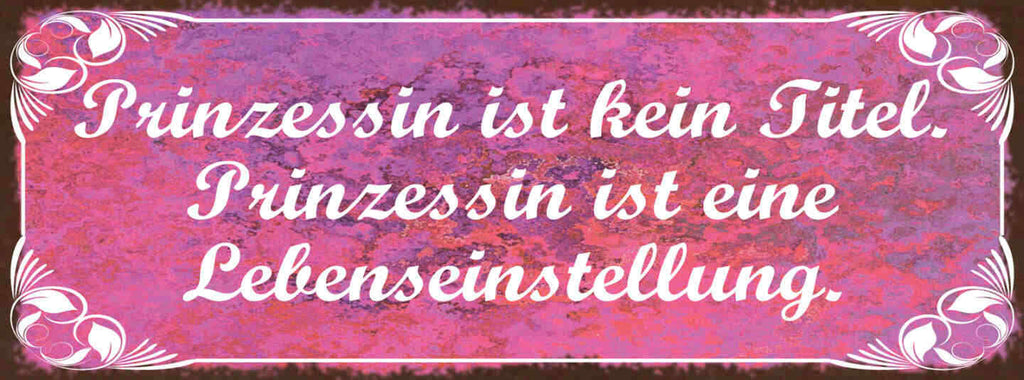 Schild Prinzessin Ist Kein Zustand Prinzessin Ist Eine Lebenseinstellung 27x10