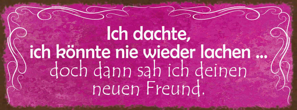 Schild Ich Dachte Ich Könnte Nie Wieder Lachen Dann Sah Ich Deinen Neuen Freund