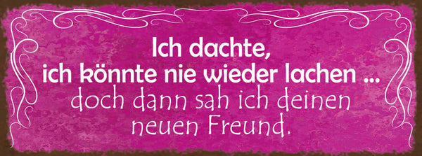 Schild Ich Dachte Ich Könnte Nie Wieder Lachen Dann Sah Ich Deinen Neuen Freund